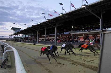 yarmouth greyhounds results|yarmouth greyhound results yesterday.